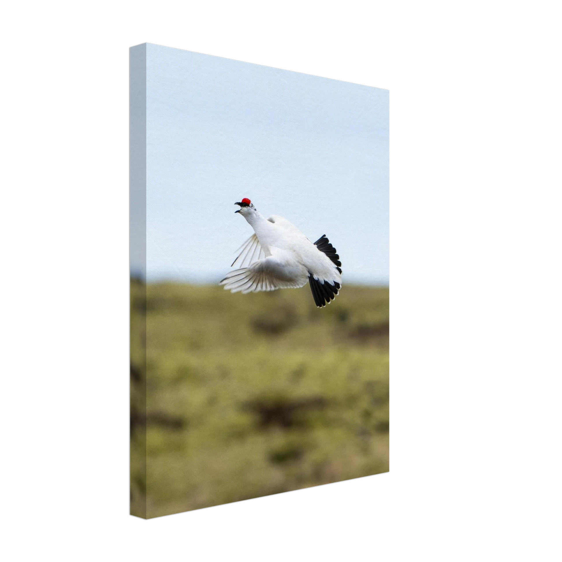 09a098e5-fec9-4c95-93e4-2cabf8e571d3