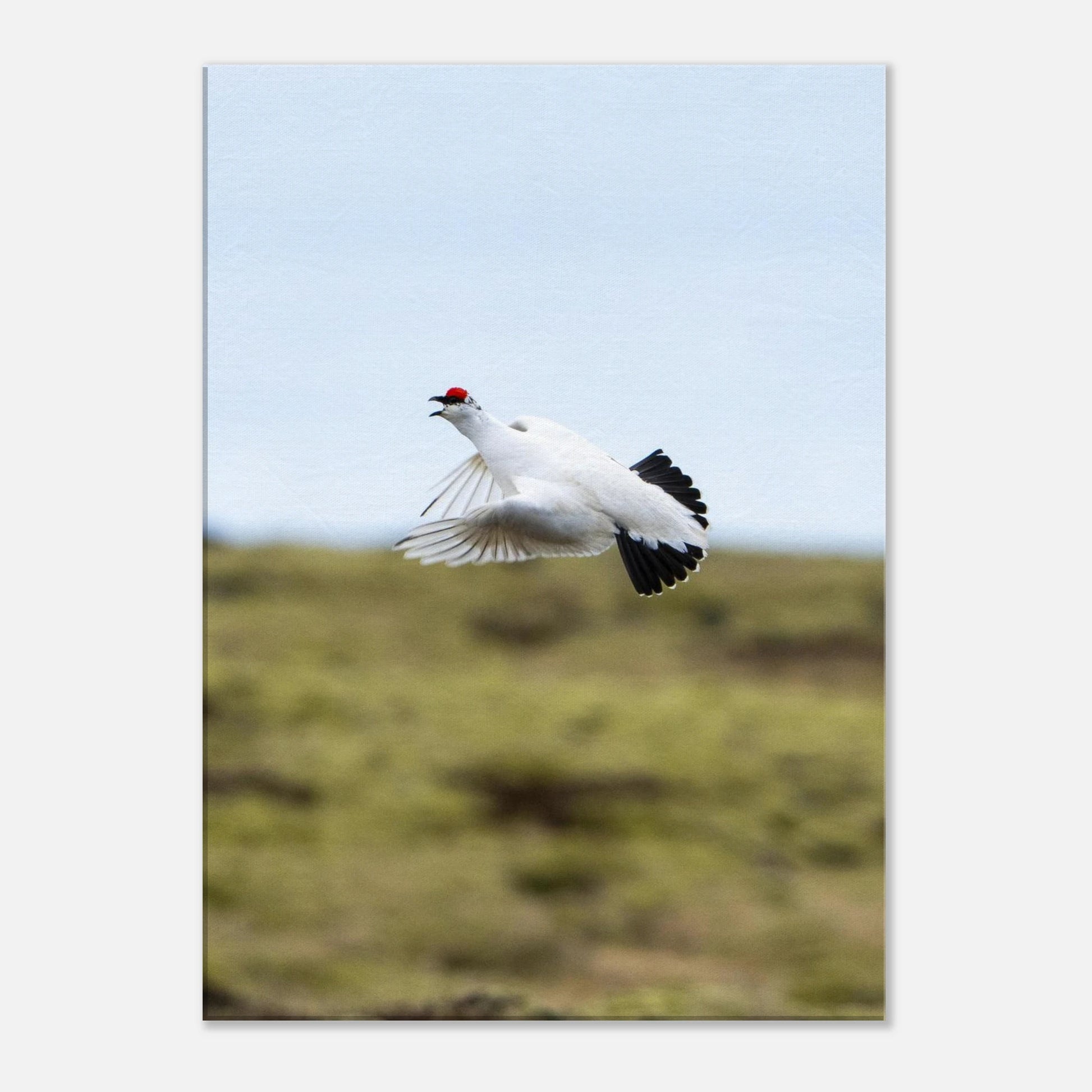 0c31ed07-f3d2-42b6-b3bb-3cdf47da2b62