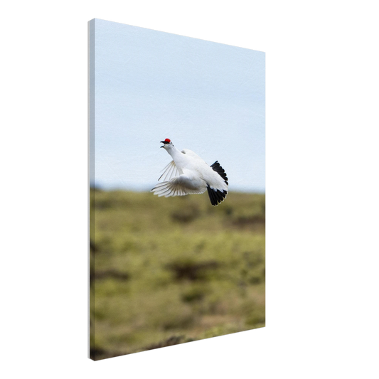 0cc01eda-88ad-47f9-ab09-854a24cb0549