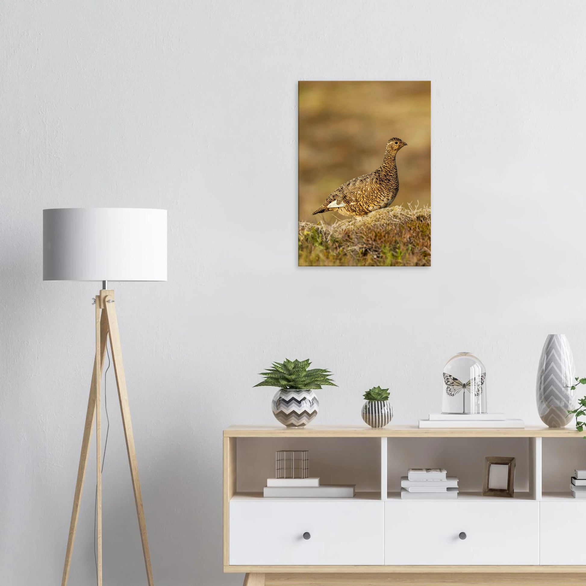 1053a8a9-96e7-433c-8a45-f6da4491e009