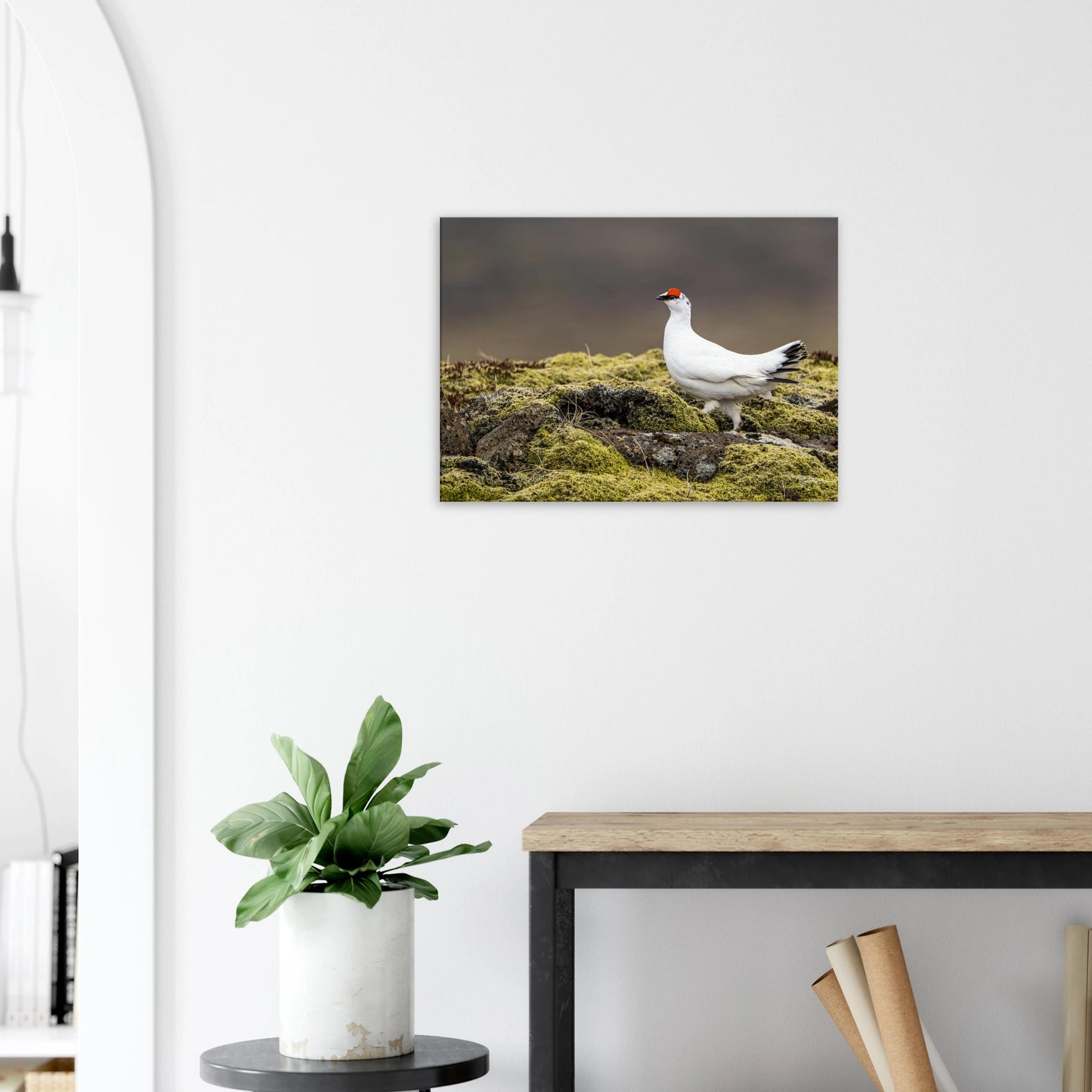 11f9bbf9-1255-4eda-a35a-2cc7075bad0e