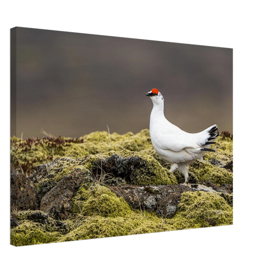 3a2fa47c-6414-4dc1-9640-997027247273