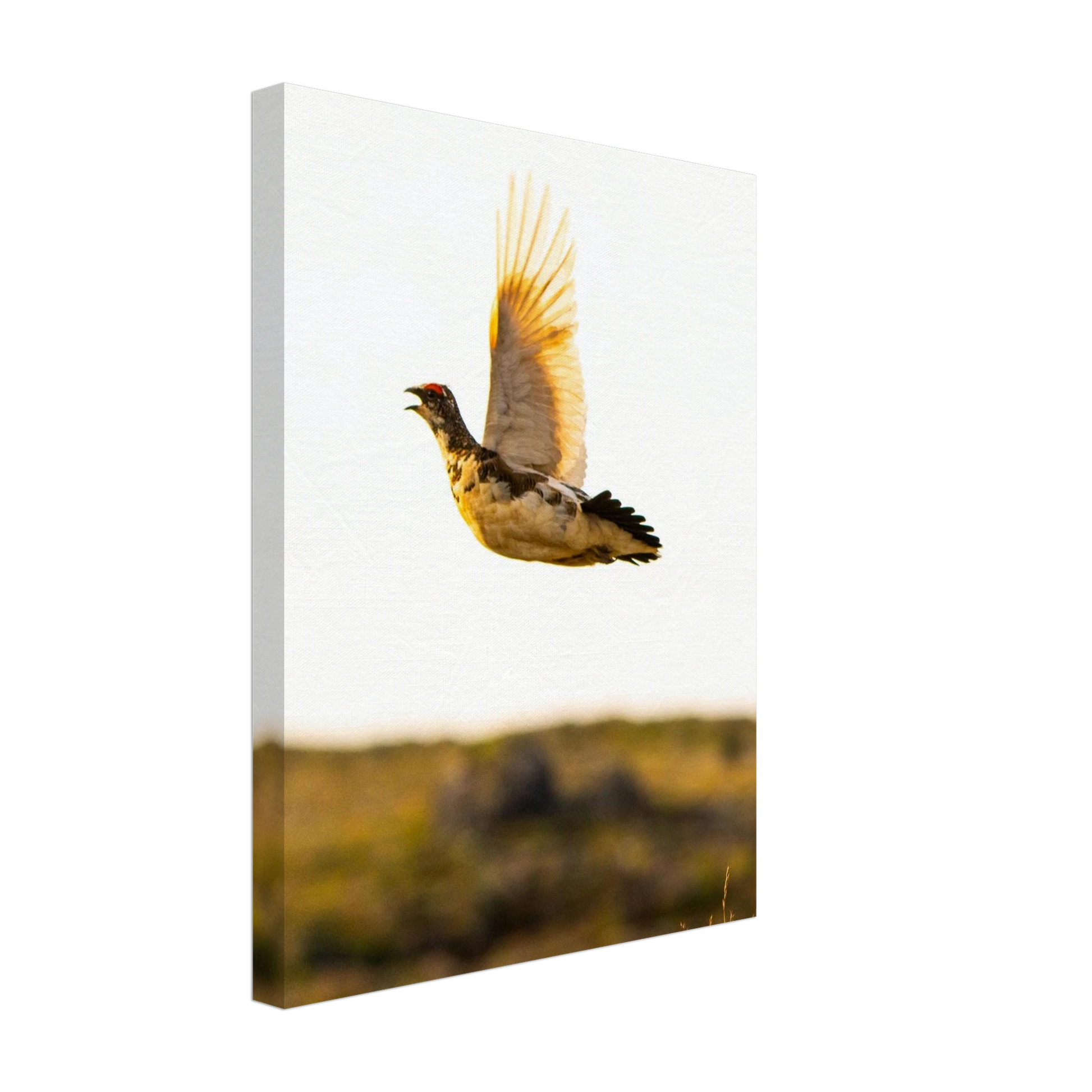 3a52f075-0e54-47fd-b3af-f51b3811d75c