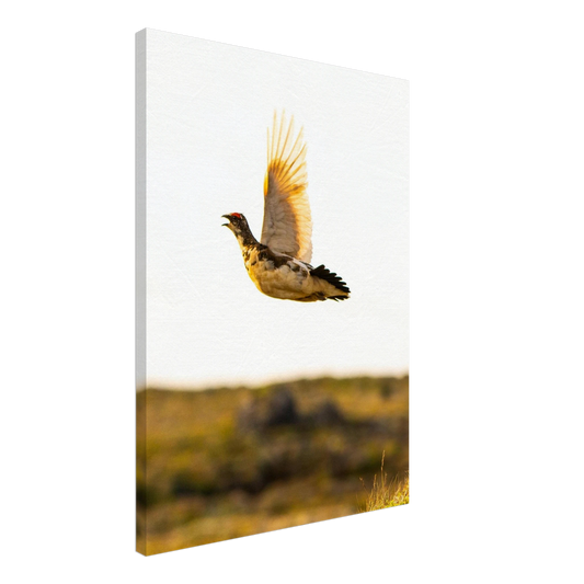 484ef099-9ccf-40b0-91e3-5177b6b61546