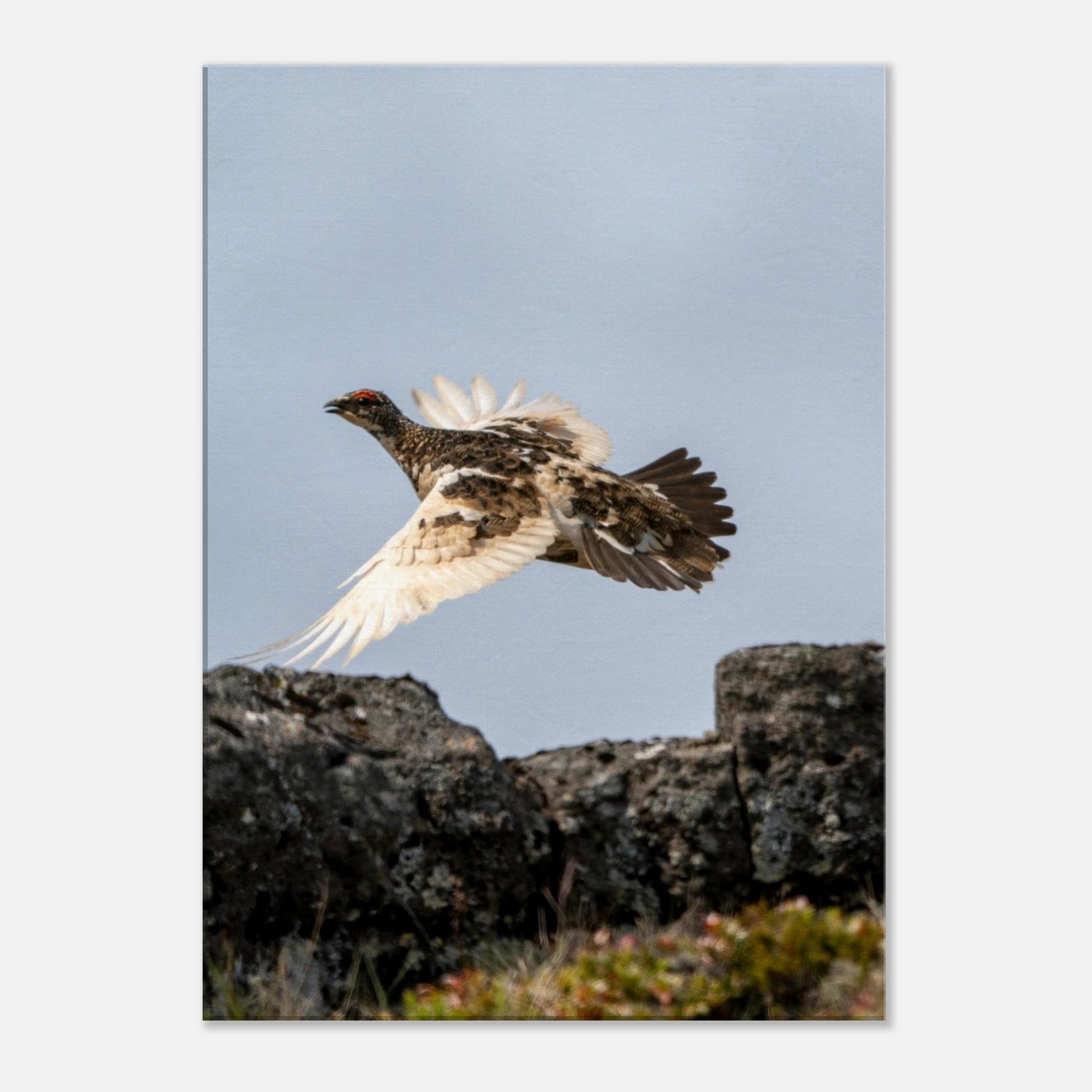 5cc71d0e-1fb0-4ee0-a0e2-f1c940e7e5d8