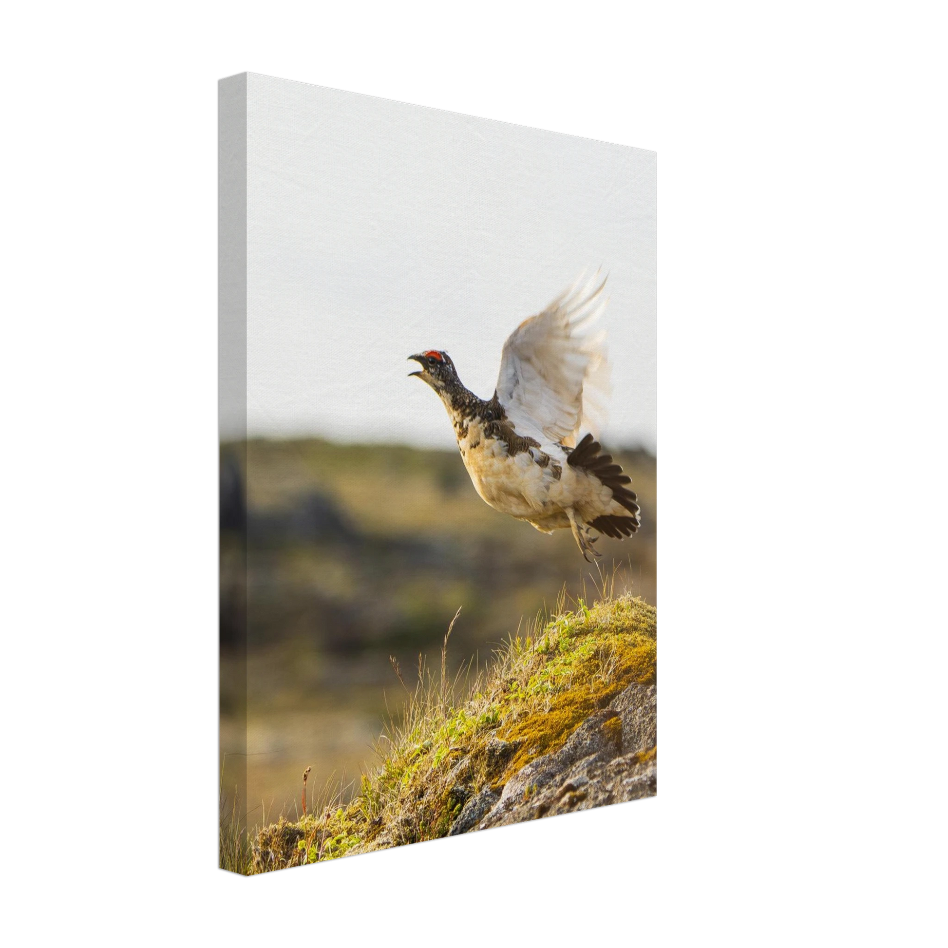 5e32d234-420e-435b-a2d6-363c4d81bc8f