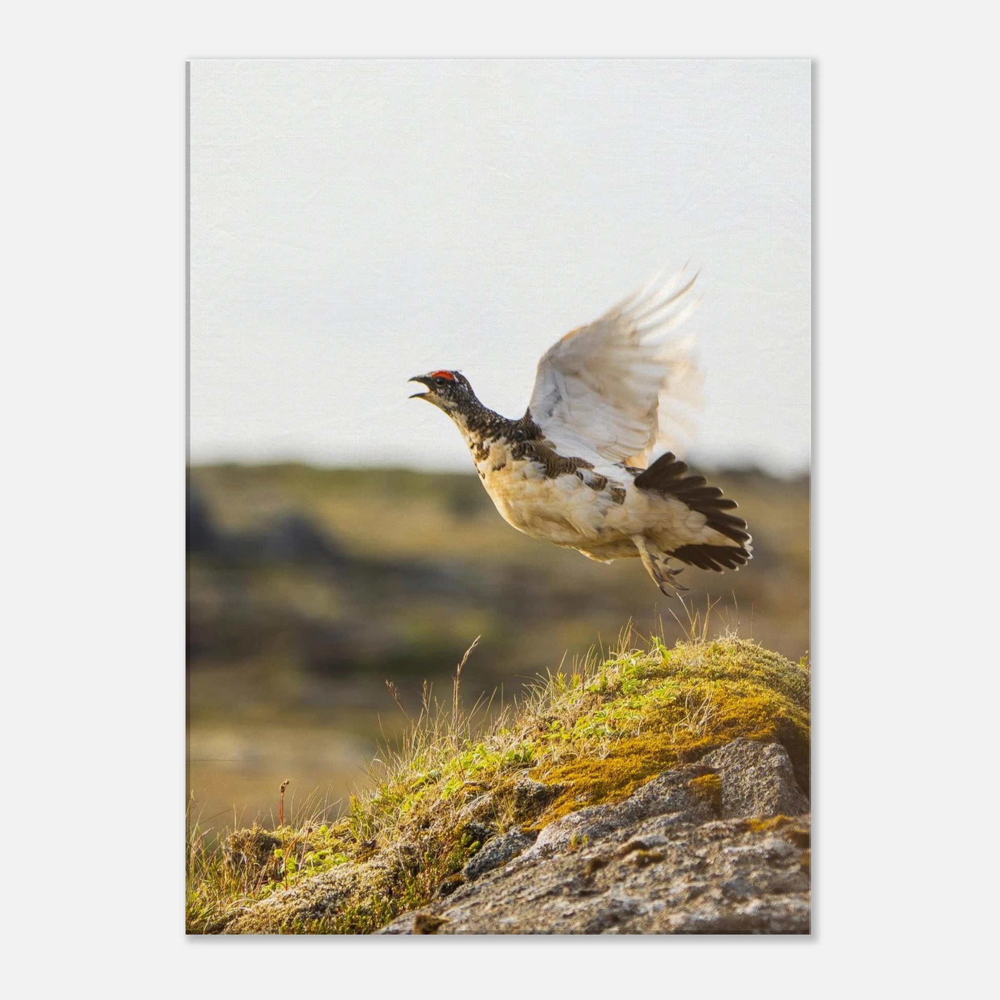 6c4cbe4a-3d79-485c-b323-f8083c30838f