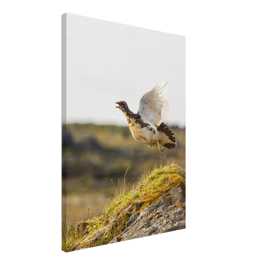 78f017b0-81a2-43ed-9880-db8c0fa23ae2