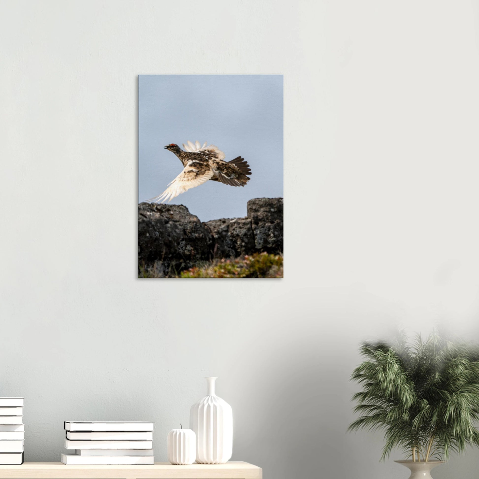 801efa6b-d52c-47fe-83f2-73ce85780cd0