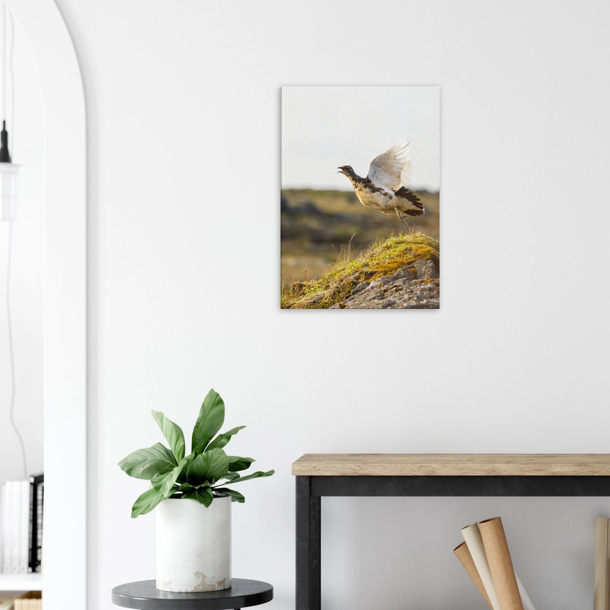 a0044f21-39fd-420e-b6ff-55ba035fa28d