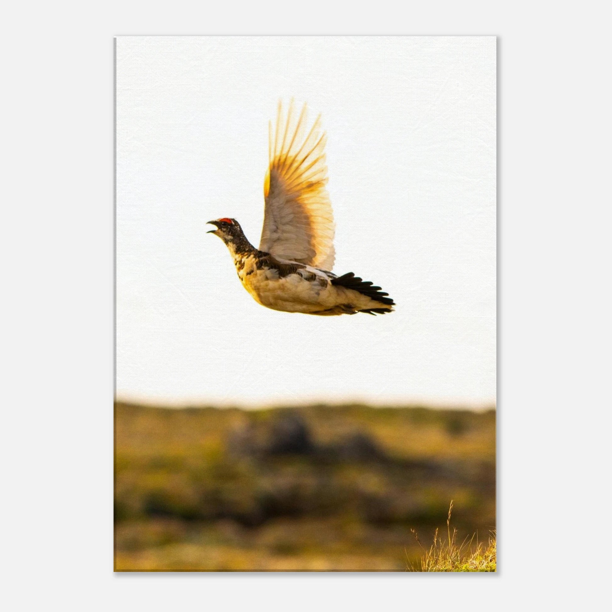 c017b00c-bd1c-4772-a254-9fb0f97c5ca7