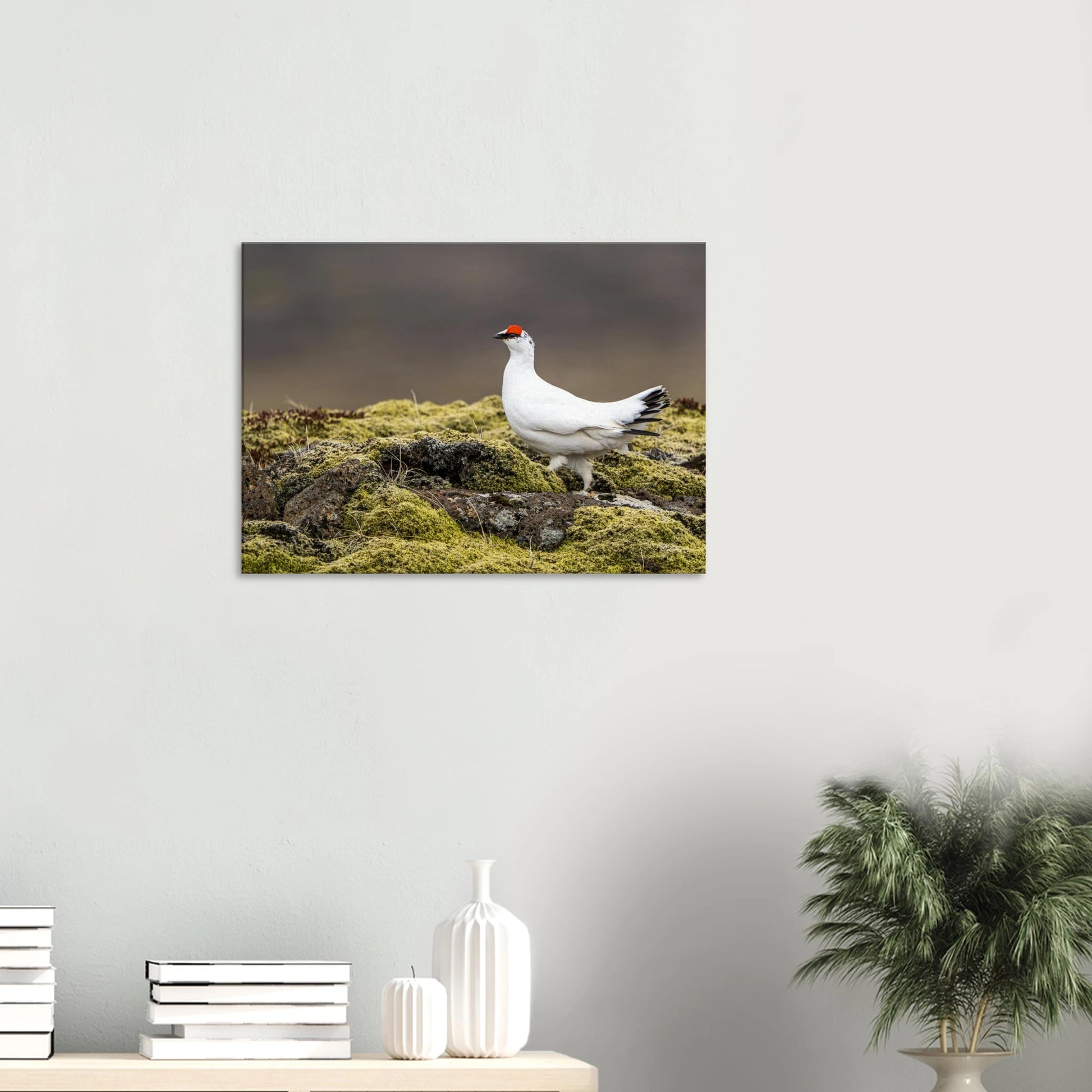 ccf4a500-e05a-461d-976d-8a8675bb47f4