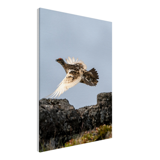 eb6a8131-394c-4057-b2eb-263f9272bb03