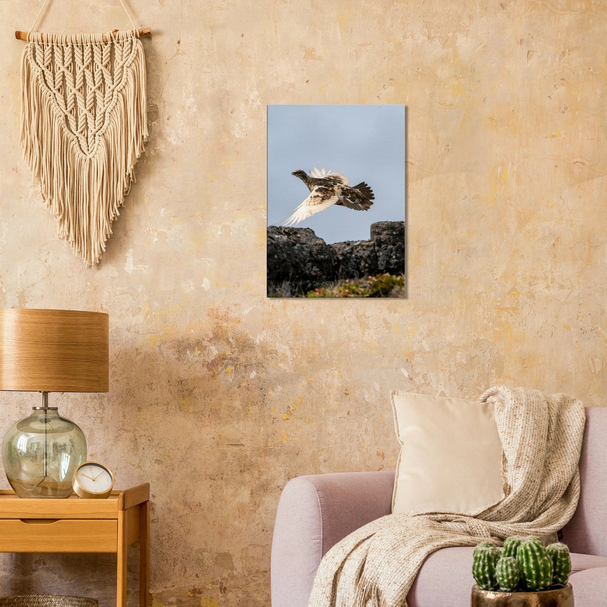 eecacc97-508b-4d2c-b51e-5b56a61d9059