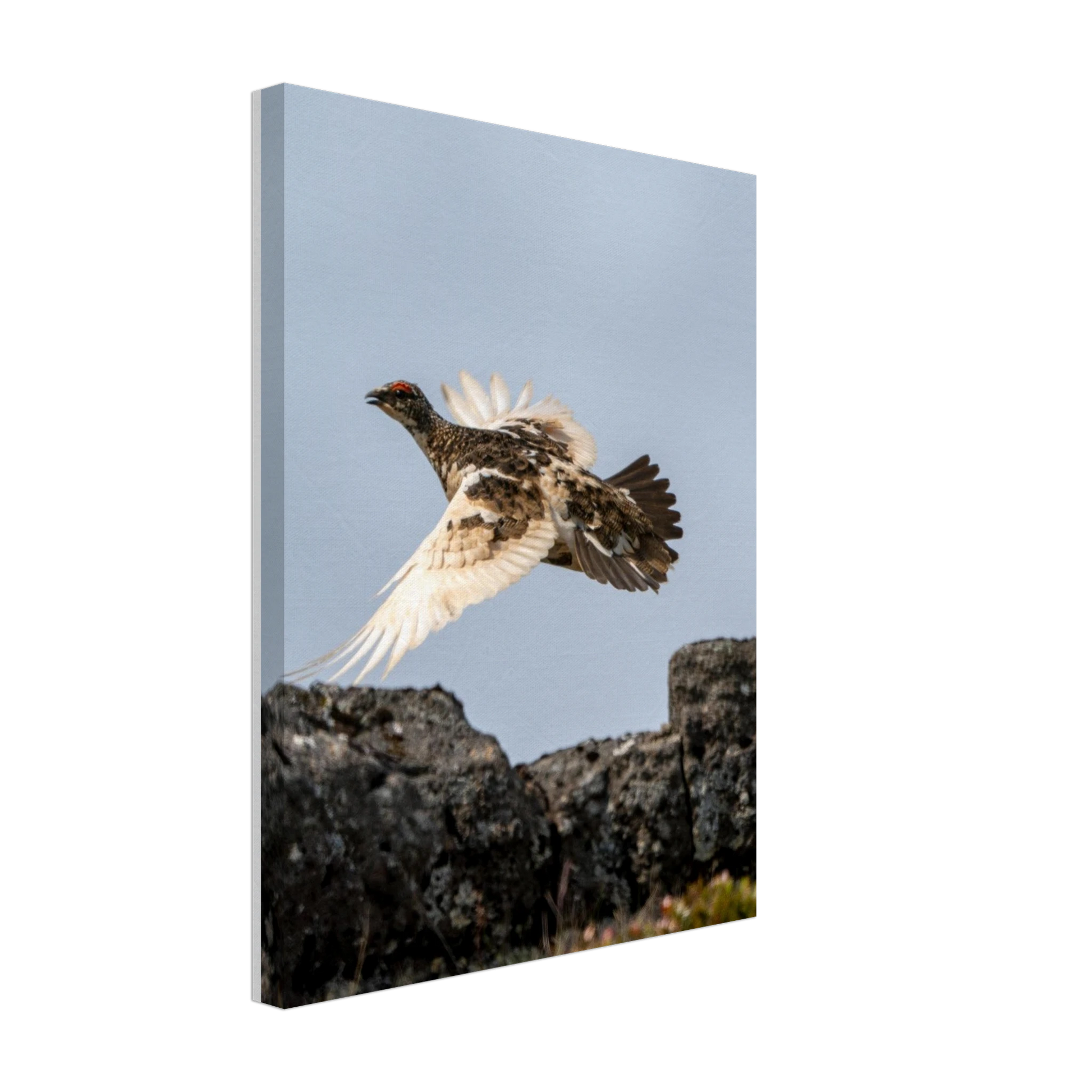 f90077a9-178b-4423-8fa9-e16610713d56